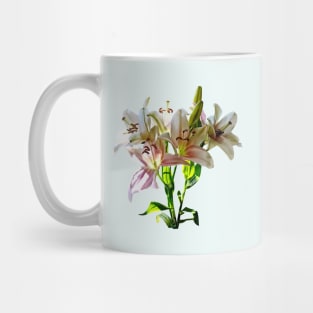 Backlit Pale Pink Lilies Mug